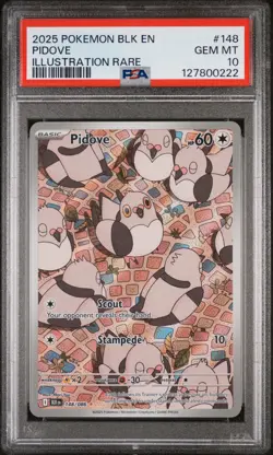2025 POKEMON BLK EN-BLACK BOLT ILLUSTRATION RARE #148 PIDOVE PSA 10 - Image 1