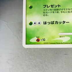 (EX) Bulbasaur 030/DPt-P Pokemon Center 10th Anniversary Promo 2009 Japan Card - Image 5