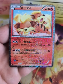 Pokemon Karte Card Holo Fukano Growlithe Shiny Collection 2013 japanese NM- - Image 4