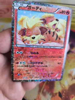 Pokemon Karte Card Holo Fukano Growlithe Shiny Collection 2013 japanese NM- - Image 5