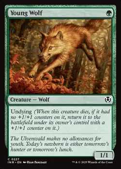 [MTG] Young Wolf (227) (INR) NM - Image 1