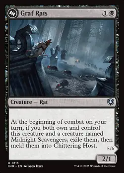 [MTG] Graf Rats (0113) (INR) NM - Image 1