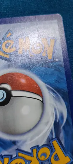 Pokemon TCG Miraidon Svp Black Star Promos SVP013 Holo Promo - Image 3