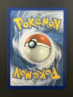 Pokemon 2019 Pikachu SM162 Sun & Moon Black Star Promo Holo Card TCG - Image 2