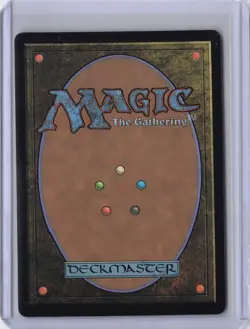 Nibelheim Aflame (Borderless) Final Fantasy Regular - NM #339 MTG FIN Magic - Image 2