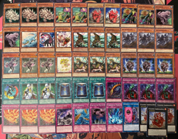 YUGIOH - DINOSAUR BEATDOWN DECK - DUOTERION, ANIMADORNED ARCHOSAUR, SAUROPAD ~ - Image 1
