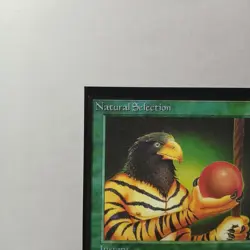 Natural Selection x (1) MTG - Collectors' Edition (CE) - EX/NM - Image 2