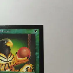 Natural Selection x (1) MTG - Collectors' Edition (CE) - EX/NM - Image 3