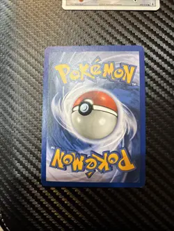 EEVEE LOT Inc. Black Star Promo 11 and 173 and Some Base Eevees Pokemon TCG - Image 5