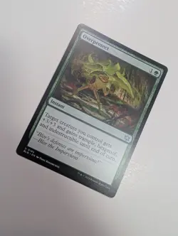 MTG - Overprotect - Bloomburrow NM/M Condition - Image 2