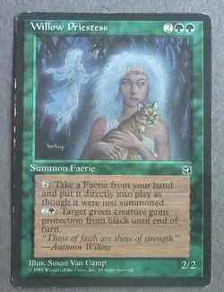 MTG HOMELANDS COMPLETE SET OF 140, VF TO NM, EXCEPT WILLOW PRIESTESS NO RESERVE - Image 2