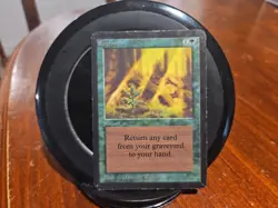 Regrowth (IE) International Edition Regular - Image 1