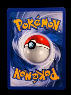 Ampharos Non Holo 3/147 Aquapolis ENG - English Pokemon Card E-Series 2002 - Image 2