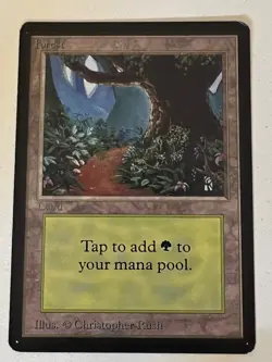 Magic the Gathering MTG Beta Forest v.1 (PATH) LP (Beta Bob) - Image 1