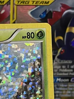 Pokemon TCG - Maractus 002/012 McDonald's Promos 2011 Holo - Plus 5 BONUS Cards - Image 2