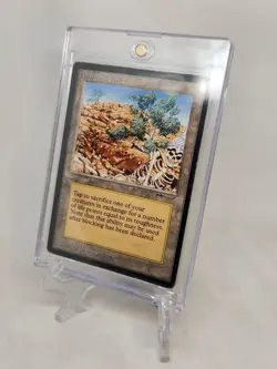 Diamond Valley (Arabian Nights) Heavily Played - Image 1