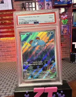 2023 Pokemon PAL EN-PALDEA Marill Illustration Rare #204 PSA 9 - Image 1