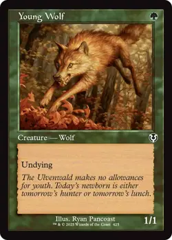 4x Young Wolf - Retro - MtG Innistrad Remastered - NM - Image 1