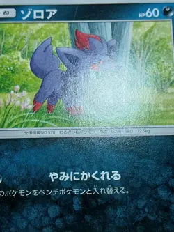 Zorua - 078/173 - Tag Team GX All Stars SM12a Pokemon 2019 - Image 5
