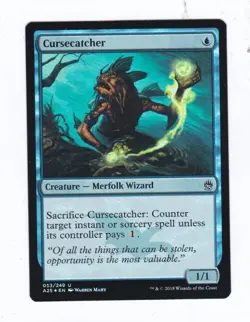 Magic: MTG: Masters 25: Foil: Cursecatcher - Image 1