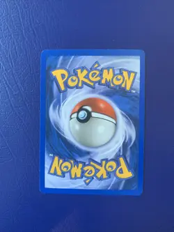 Ursaring - 110/144 - Common - Skyridge Set - NM/M - Pokemon Card - Image 2