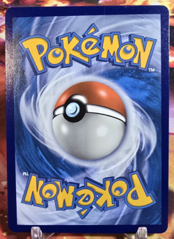 Charizard V - SWSH050 - SWSH: Sword & Shield Promo Cards (SWSD) - Image 2
