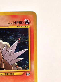 👀 VIDEO Pokemon Card Entei Neo Revelation Awakening Legends Holo Japanese NM - Image 4