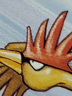 Pokemon Fearow 36/64 Jungle 1st Edition Uncommon PL - Image 4