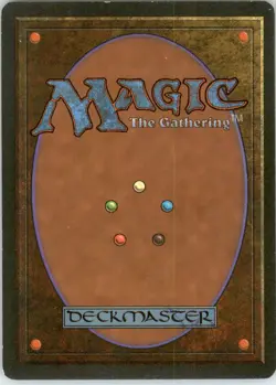 Wall of Kelp - Homelands - LP - Magic - Image 2