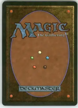 Primal Order - Homelands - - LP - Image 2