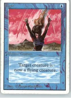 Flight - Unlimited Edition - - Normal MP - Image 1