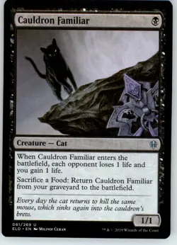 Cauldron Familiar - Throne of Eldraine - LP - #81 - Image 1