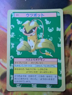 LP - Pokemon Japanese Victreebel 071 Topsun (Blue Back) - Image 1
