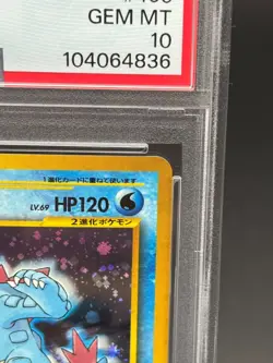 Feraligatr PSA 10 Holo Japanese Pokemon Card Neo Premium File Old Back - Image 5