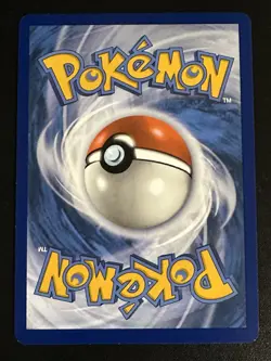 Raboot 147/142 Pokemon Stellar Crown Illustration Rare Full Art Holo Near Mint - Image 2