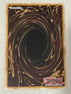 Solidarity (Green) (PORTUGUESE) Duelist League Promo DL15-EN016 PT016 Yugioh - Image 5