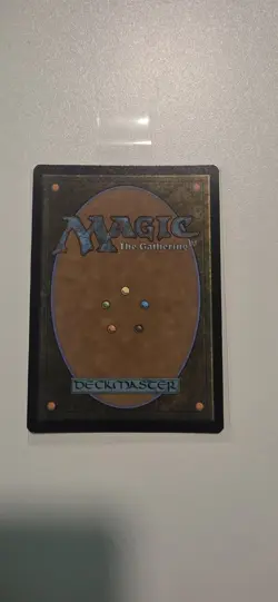 MTG Spider-Punk (0210) - Foil - Borderless, English Marvel's Spider-Man - Image 4