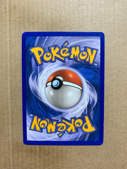 Torchic 73/109 EX Ruby & Sapphire - Common Pokemon Card - NM - Image 2
