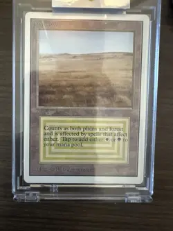 Magic the Gathering Savannah Dual Land Unlimited Lightly Played - Image 1