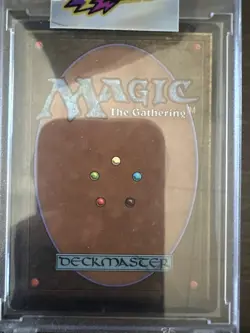 Magic the Gathering Savannah Dual Land Unlimited Lightly Played - Image 2