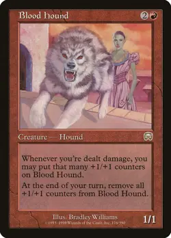 4x Blood Hound - LP - Mercadian Masques - SPARROW MAGIC mtg - Image 1