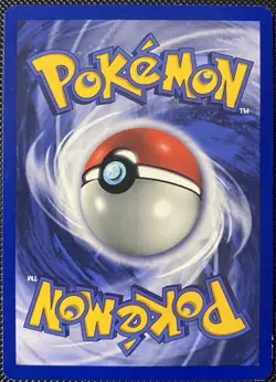 Mankey 55/64 Jungle Regular - Pokemon Card - Image 2