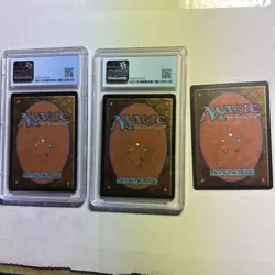 MTG Complete BETA land set, all 15, MINT/NM, Original 1993 release - Image 2