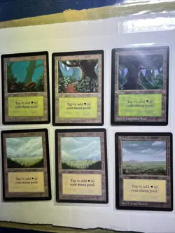 MTG Complete BETA land set, all 15, MINT/NM, Original 1993 release - Image 5