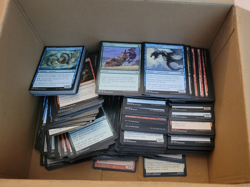 Nearly 550 Card Bulk Lot - Magic: The Gathering - Commons & Uncommons - NM/LP - Image 1