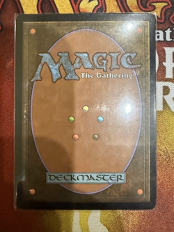 Noble Hierarch - Conflux - Foil - NM - Image 2