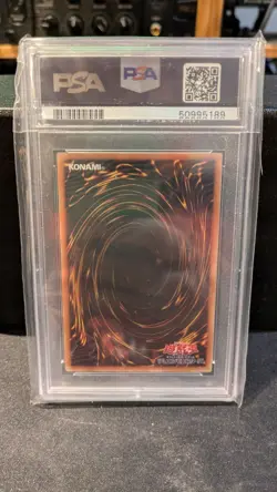 PSA 9 Yugioh OCG Dark Paladin Gold Secret Rare GP16-JP007 Japanese Near Mint - Image 3