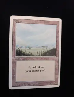 MTG Magic the Gathering Plains (289/302) Unlimited Edition LP - Image 1