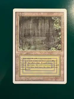 MTG - Bayou - Revised - 1994 - EX - Image 1