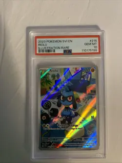 2023 Pokemon Riolu Scarlet Violet Illustration Rare #215 PSA 10 Gem Mint - Image 1